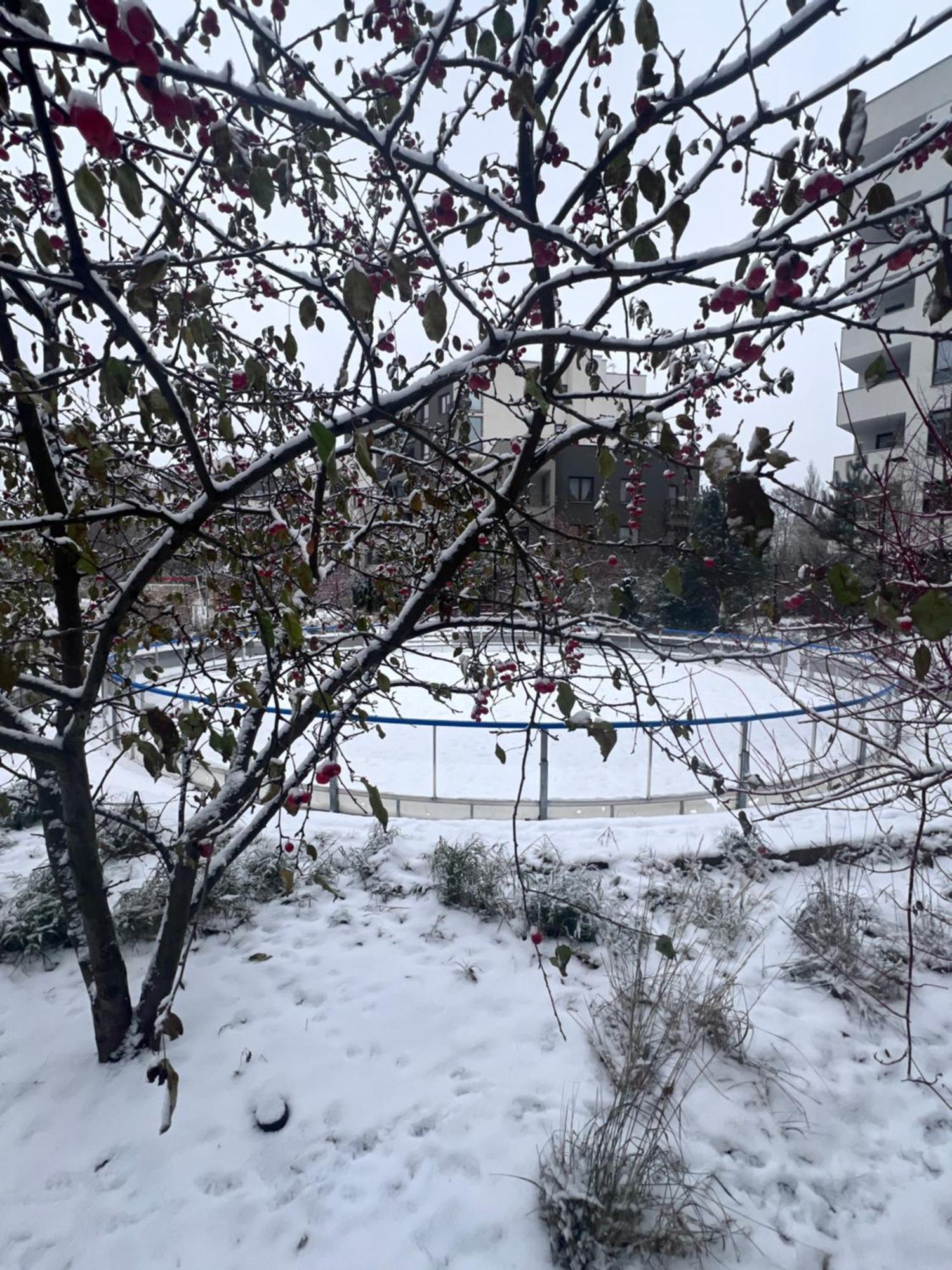 דירות ורשה Lake Park Apartament With Free Parking Airport Netflix מראה חיצוני תמונה
