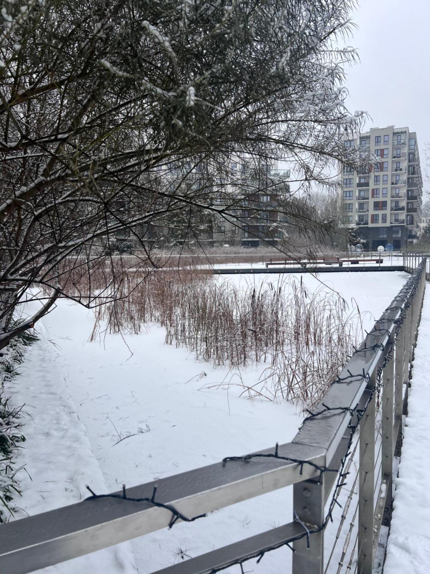 דירות ורשה Lake Park Apartament With Free Parking Airport Netflix מראה חיצוני תמונה