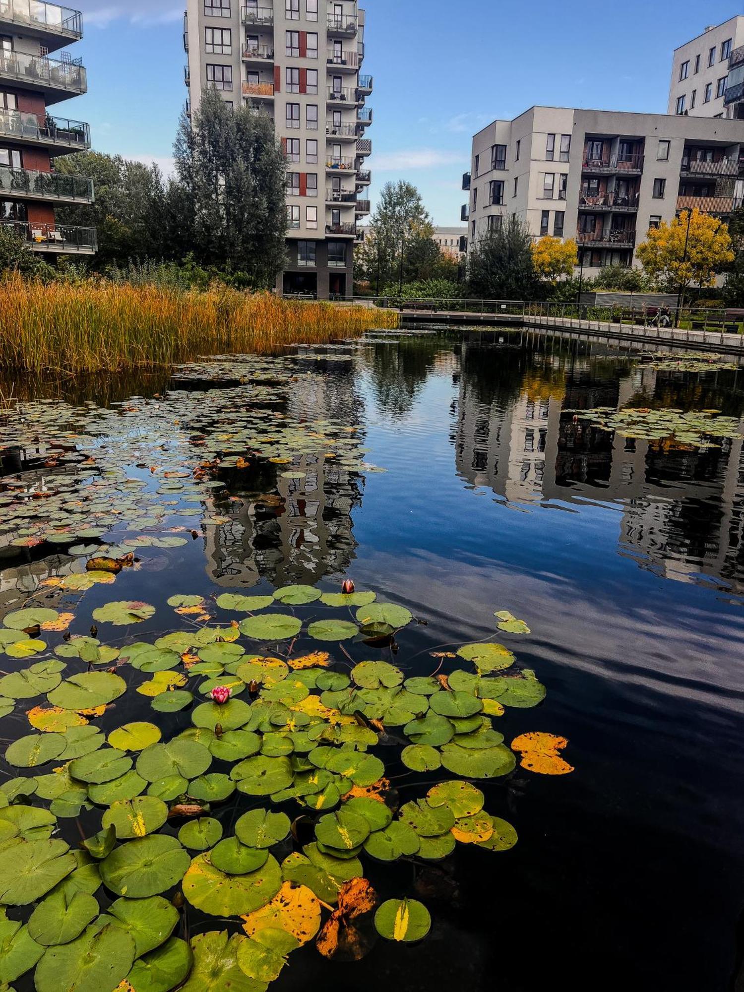 דירות ורשה Lake Park Apartament With Free Parking Airport Netflix מראה חיצוני תמונה