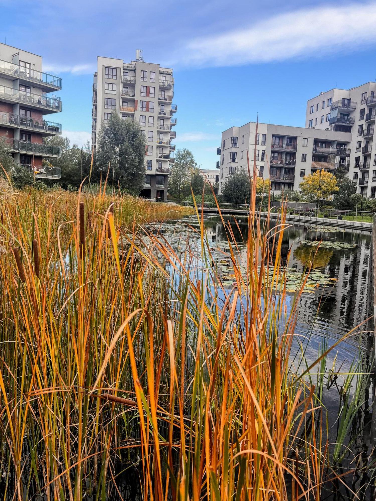 דירות ורשה Lake Park Apartament With Free Parking Airport Netflix מראה חיצוני תמונה