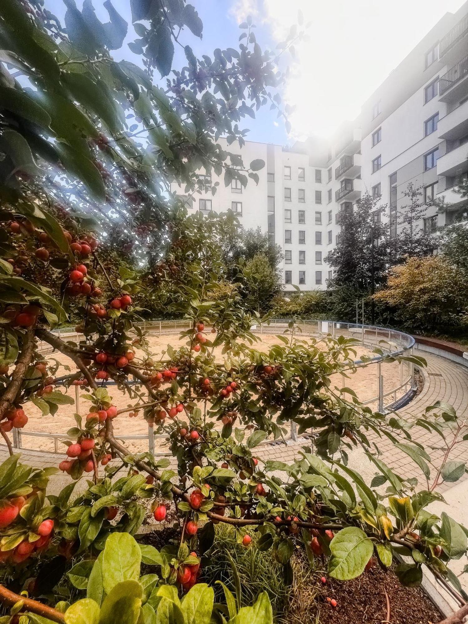 דירות ורשה Lake Park Apartament With Free Parking Airport Netflix מראה חיצוני תמונה